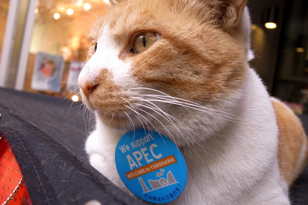 101113 ko6 RIMG3944.jpg